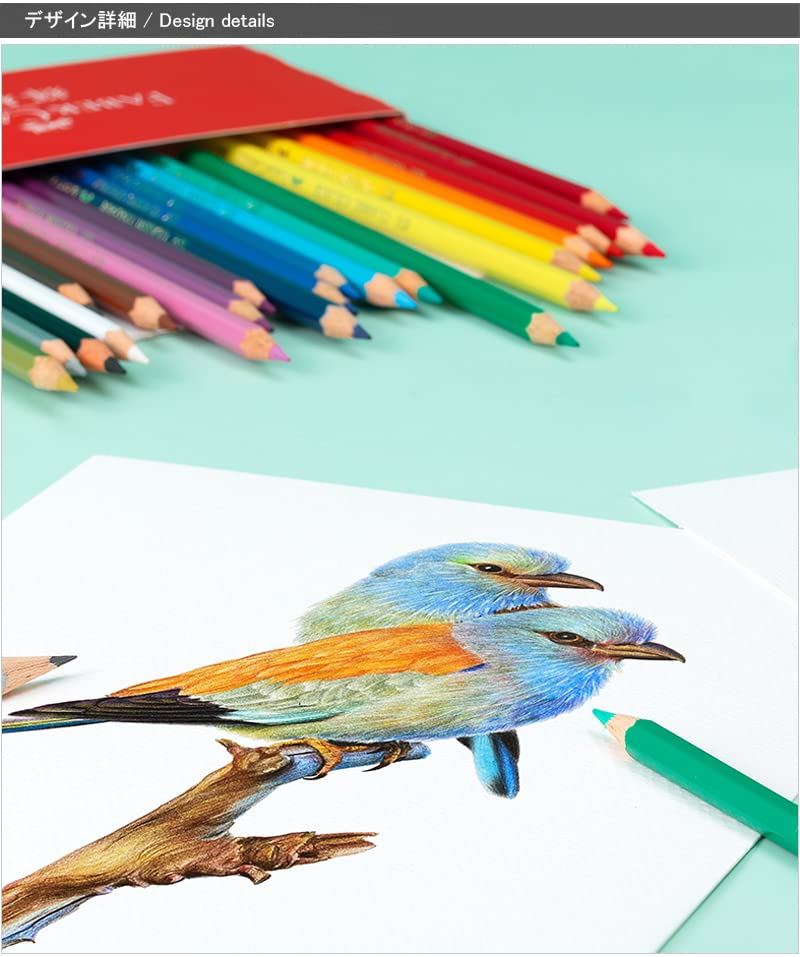 Amazon | ファーバーカステル(Faber-Castell) 油性色鉛筆 100色セット